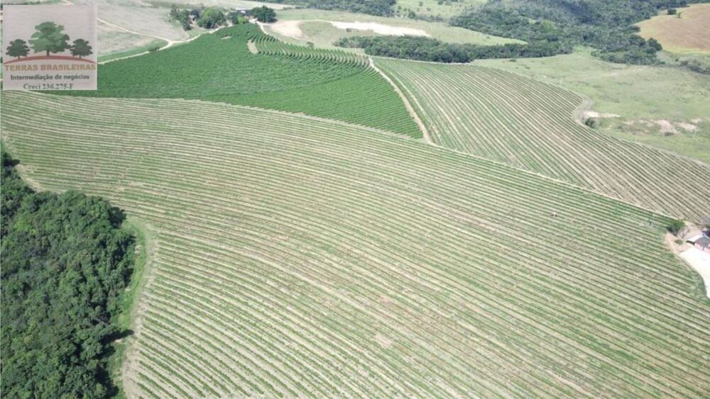 Fazenda à venda com 10 quartos, 2000m² - Foto 5