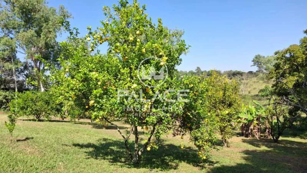 Fazenda, 4 quartos - Foto 3