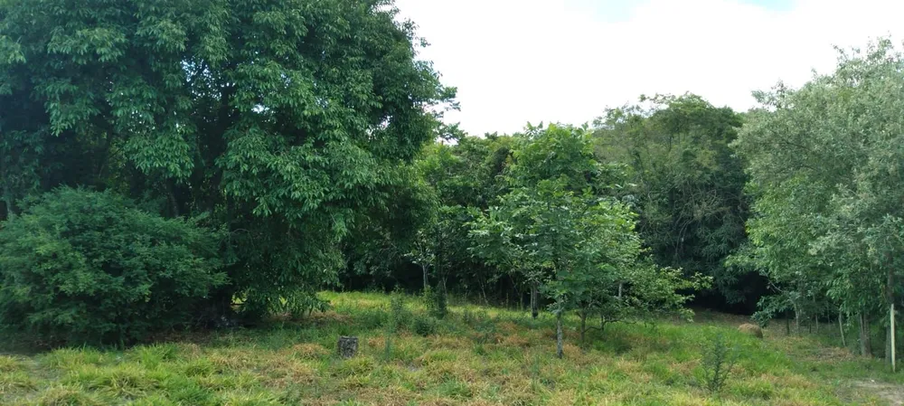 Fazenda, 2 quartos - Foto 1