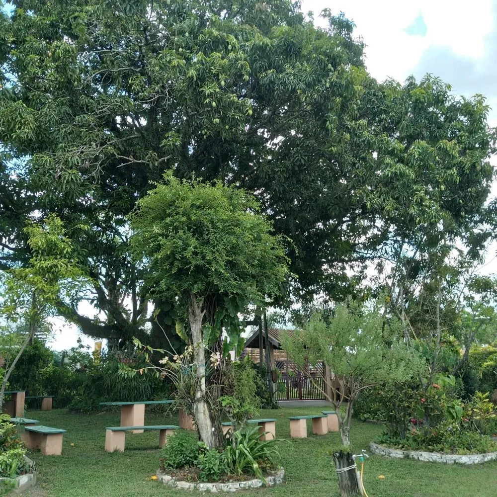 Fazenda, 2 quartos - Foto 7