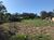 Terreno, 2200 m² - Foto 3