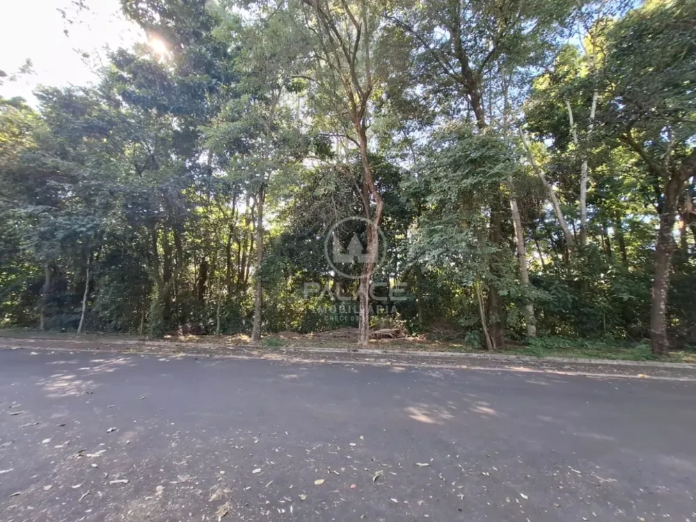 Terreno - Foto 1