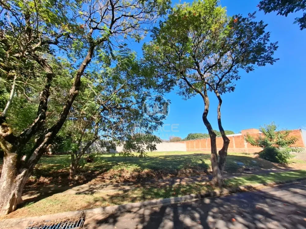 Terreno - Foto 8