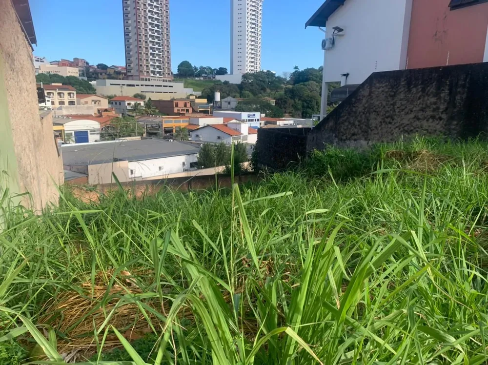 Terreno - Foto 1