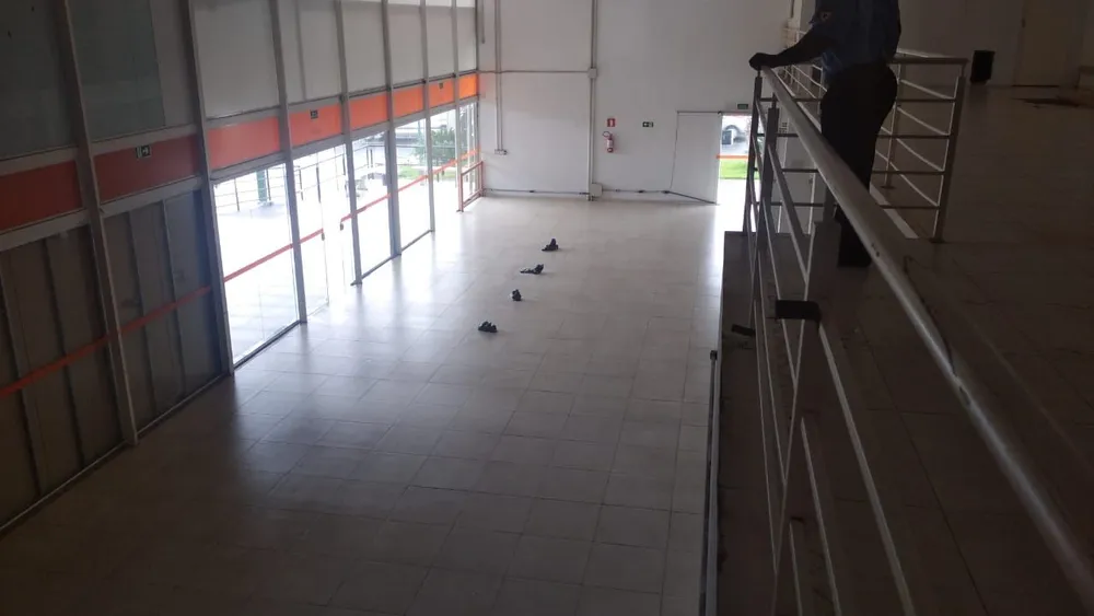 Prédio Inteiro, 435 m² - Foto 10