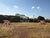 Terreno, 25 m² - Foto 6