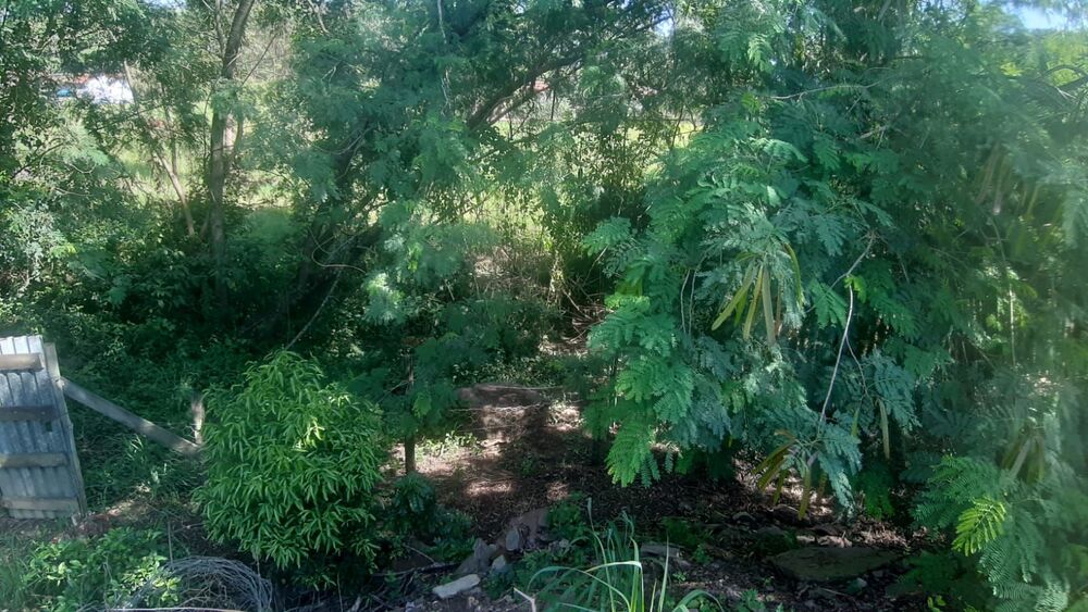 Chácara à venda com 4 quartos, 450m² - Foto 6