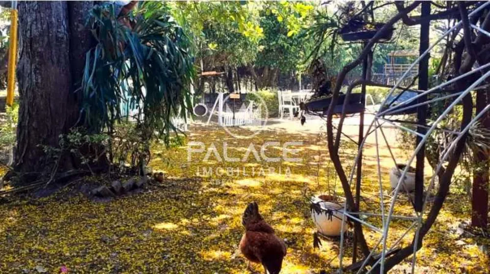 Chácara, 4 quartos - Foto 12