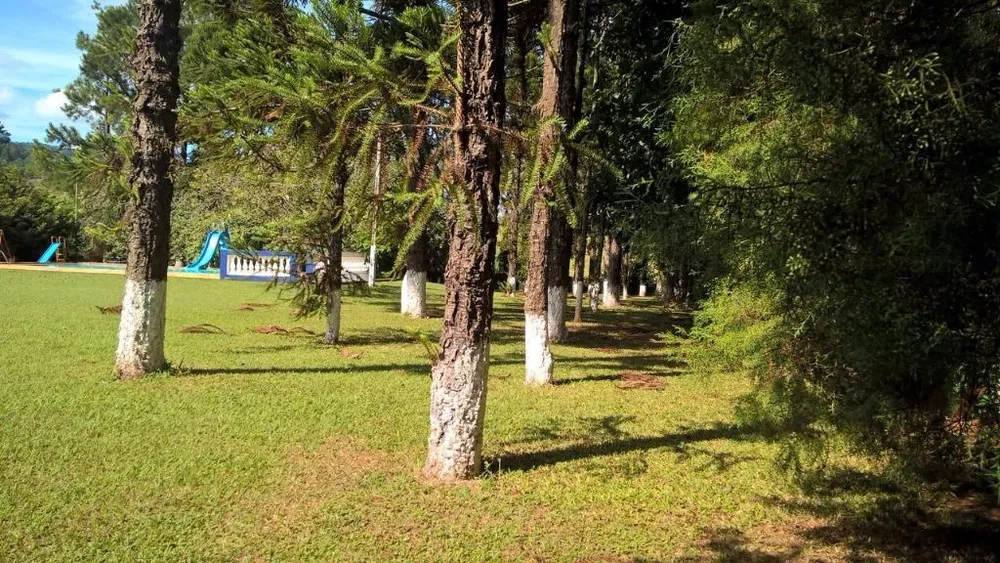 Chácara, 4 quartos - Foto 5