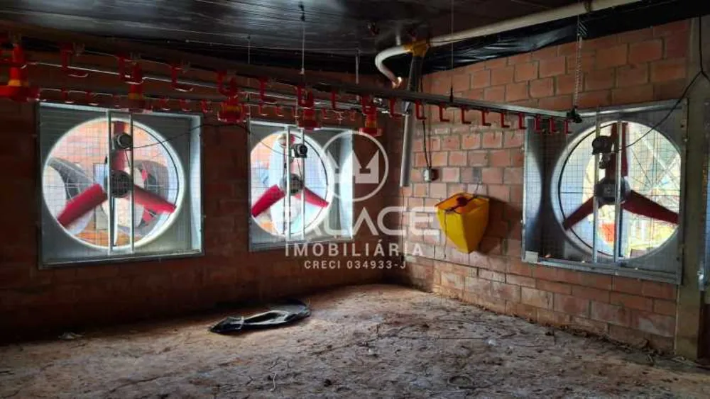 Fazenda, 4 quartos - Foto 7