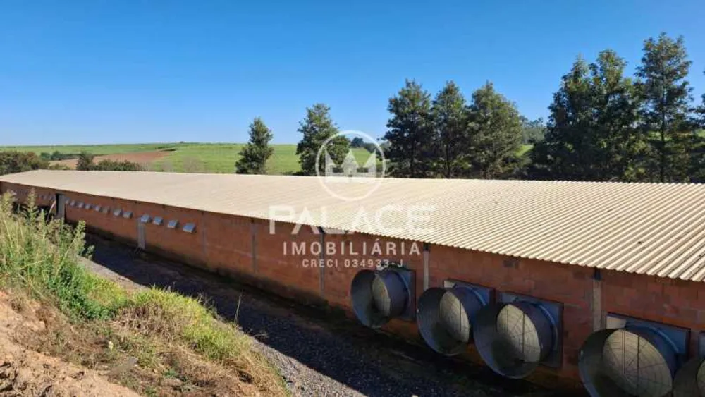 Fazenda, 4 quartos - Foto 4
