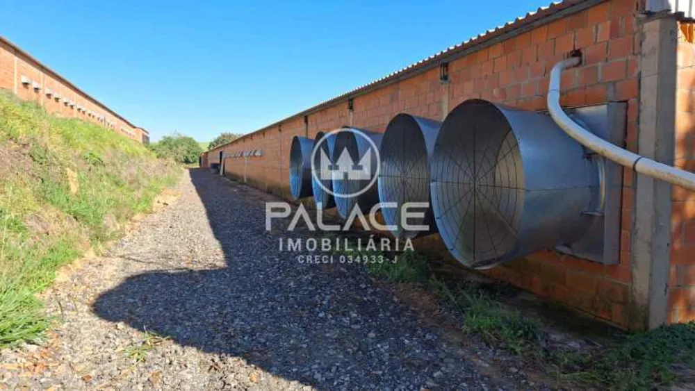 Fazenda, 4 quartos - Foto 5