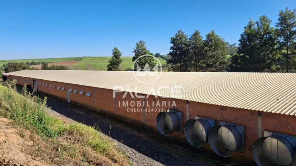 Fazenda, 4 quartos - Foto 4