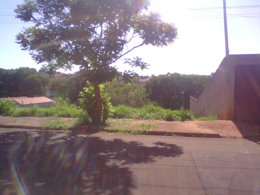 Terreno - Foto 1