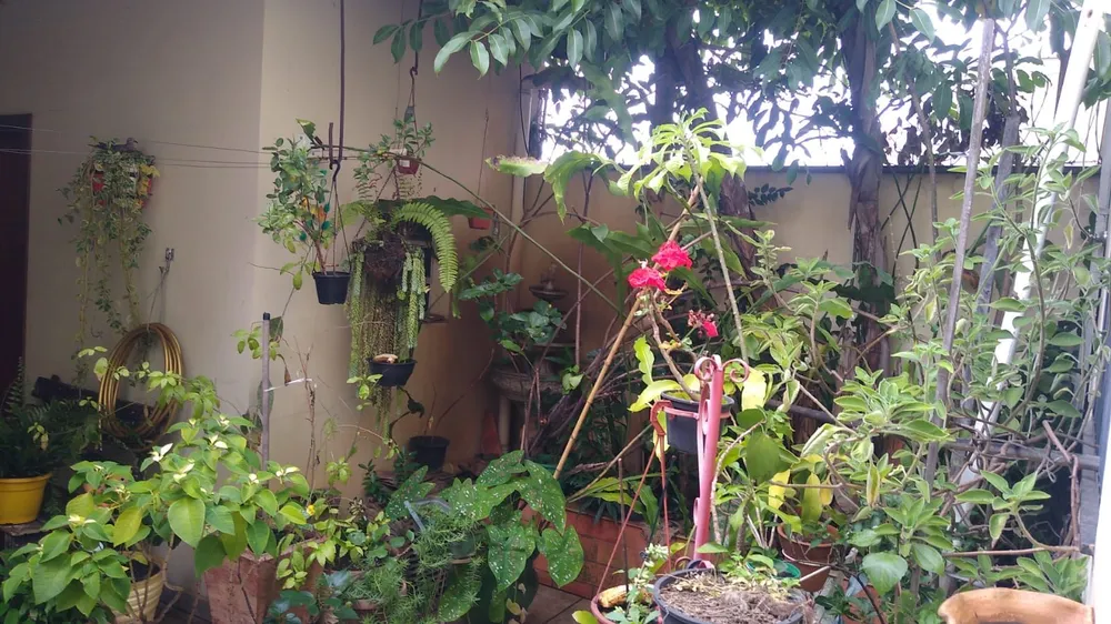 Casa, 3 quartos, 222 m² - Foto 7