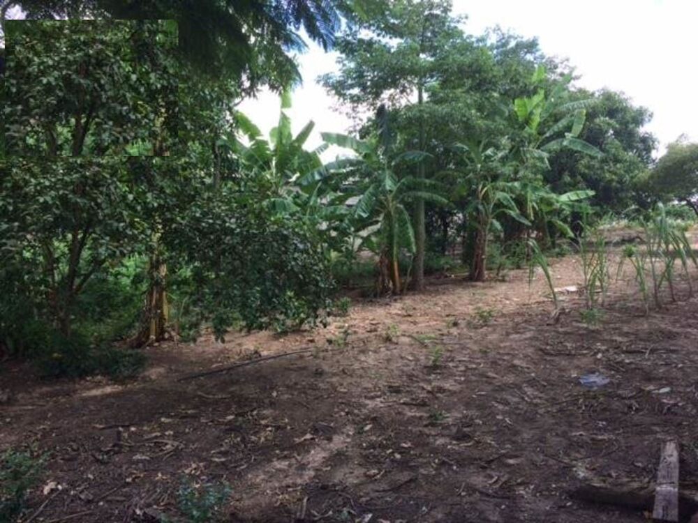 Terreno à venda, 2300m² - Foto 1