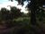 Terreno, 2300 m² - Foto 3