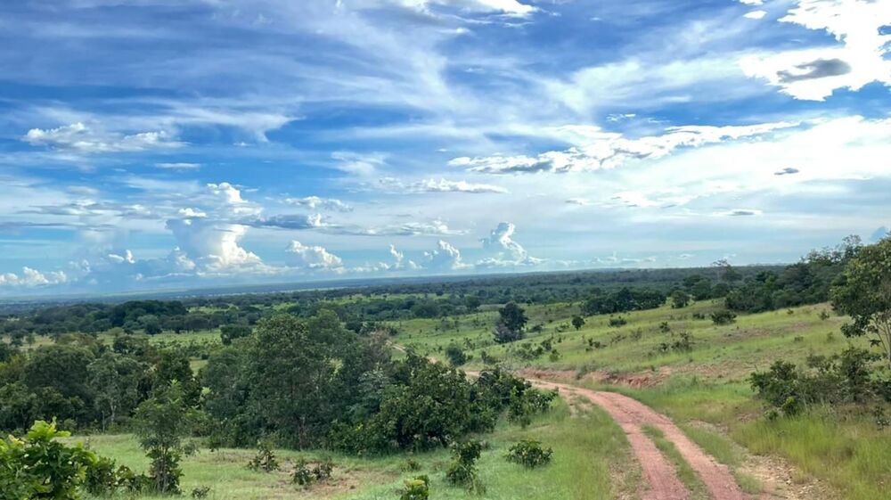 Fazenda à venda, 500m² - Foto 2