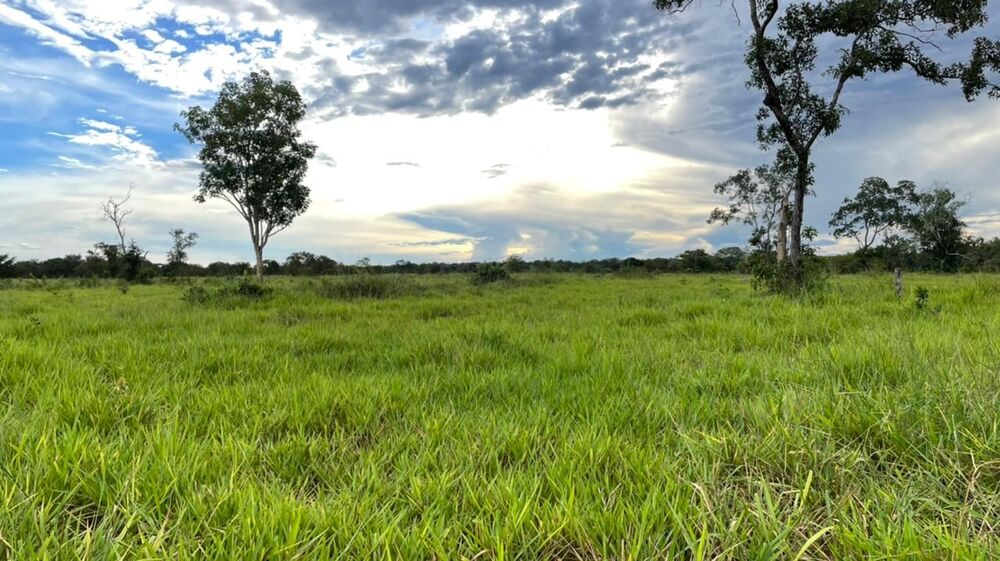 Fazenda à venda, 500m² - Foto 3