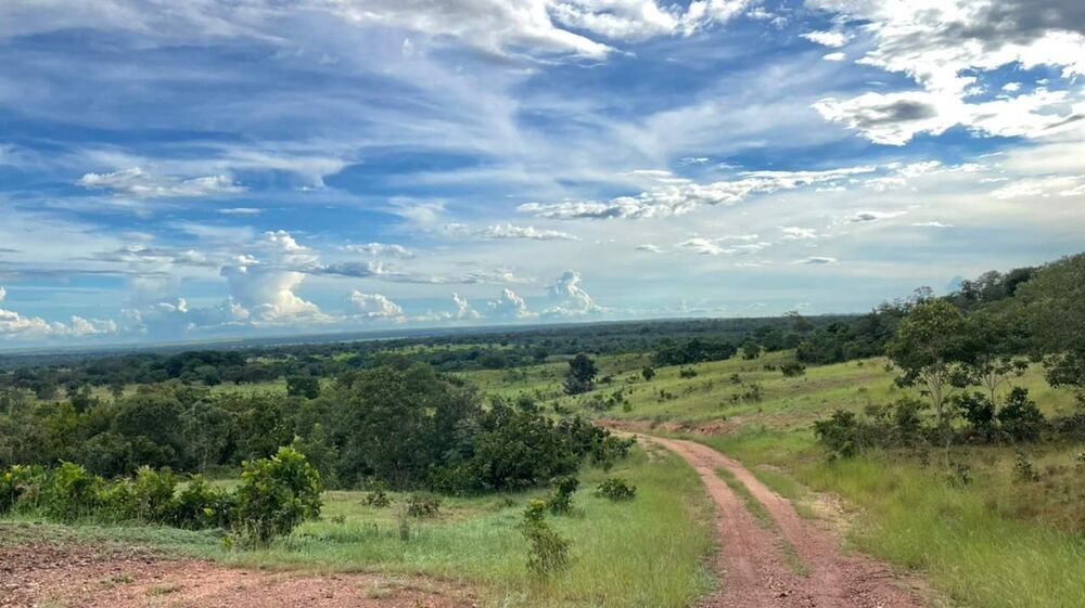 Fazenda à venda, 500m² - Foto 4