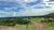 Fazenda, 1572 hectares - Foto 4