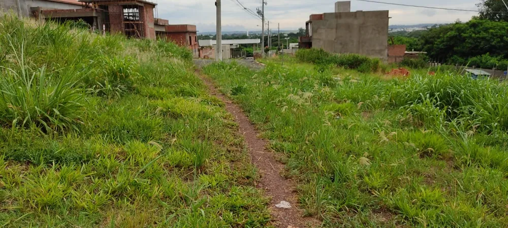 Terreno - Foto 3
