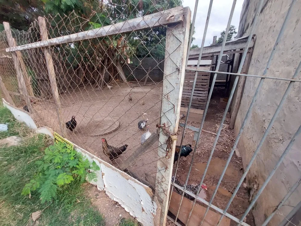 Terreno - Foto 9