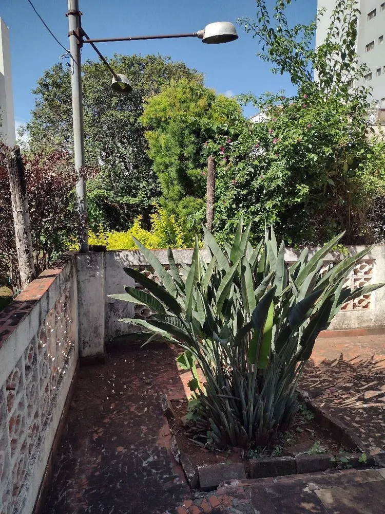 Casa, 3 quartos, 232 m² - Foto 6