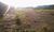 Terreno, 4500 m² - Foto 2