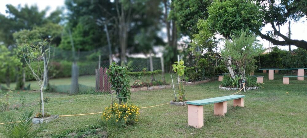 Sítio à venda com 2 quartos, 300m² - Foto 3