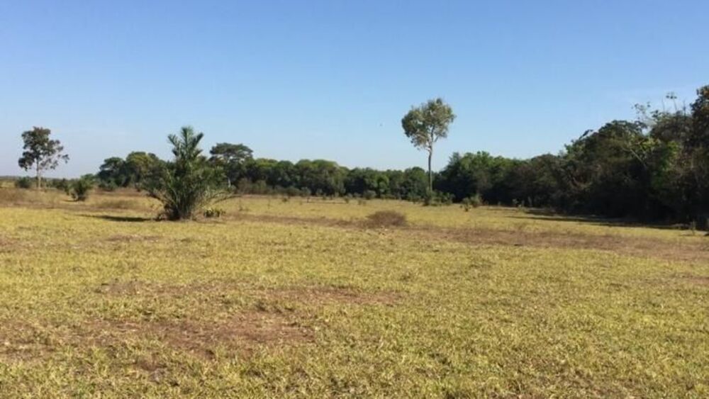 Fazenda à venda com 4 quartos, 500m² - Foto 4