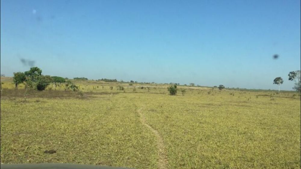 Fazenda à venda com 4 quartos, 500m² - Foto 1