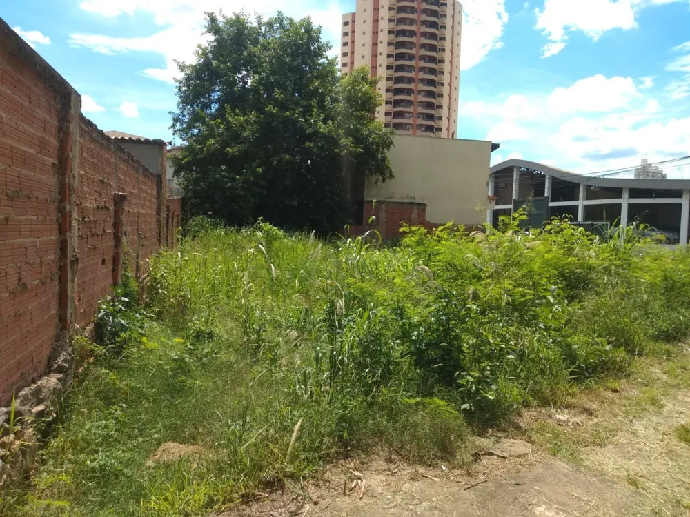 Terreno - Foto 3