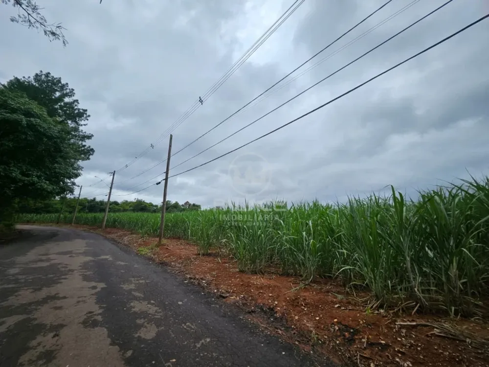 Terreno - Foto 1