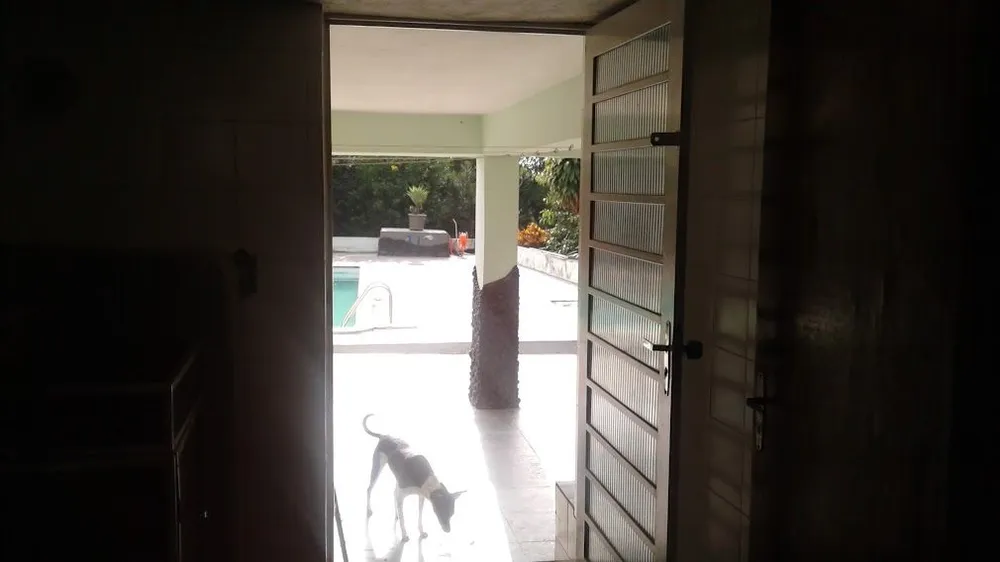Chácara, 3 quartos - Foto 5