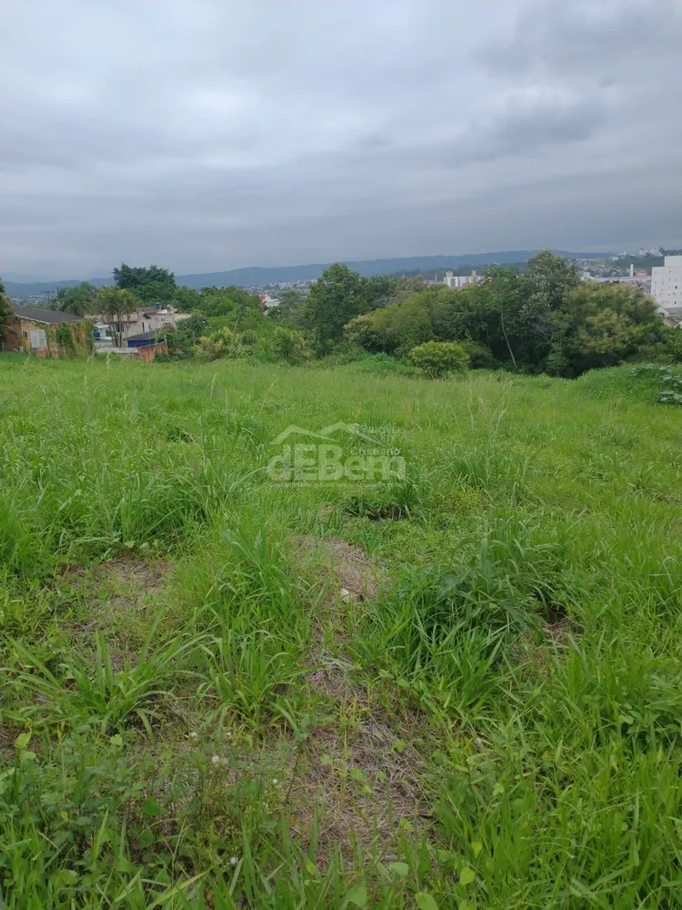 Terreno, 494 hectares - Foto 2