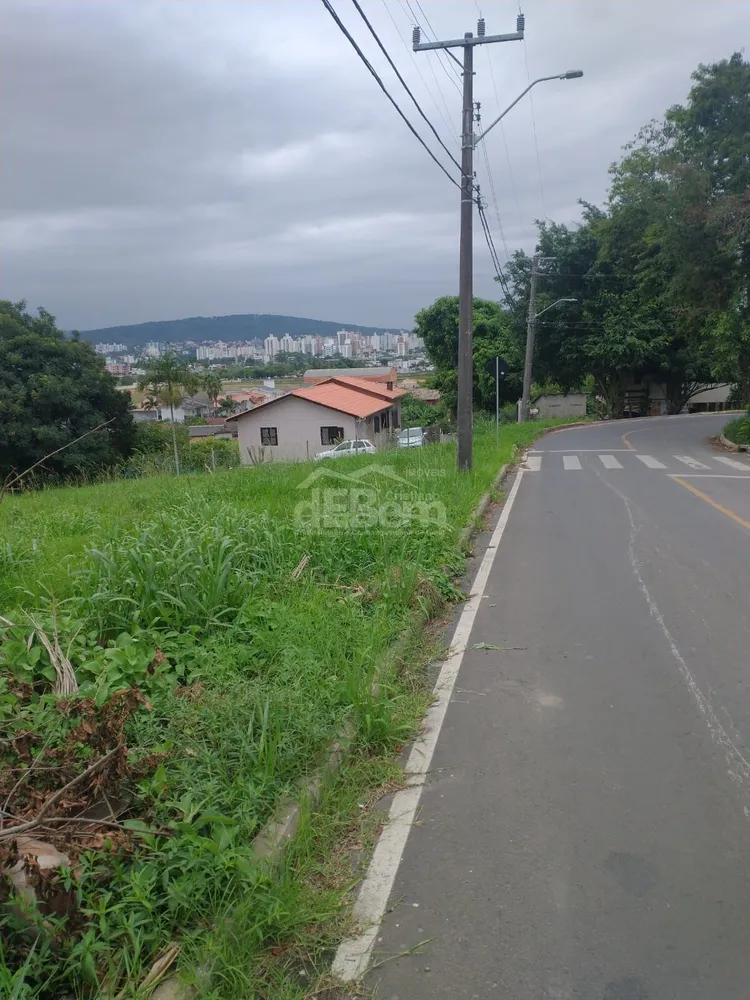 Terreno, 494 hectares - Foto 3