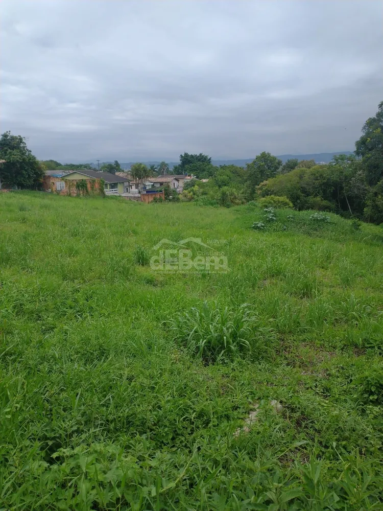 Terreno, 494 hectares - Foto 1