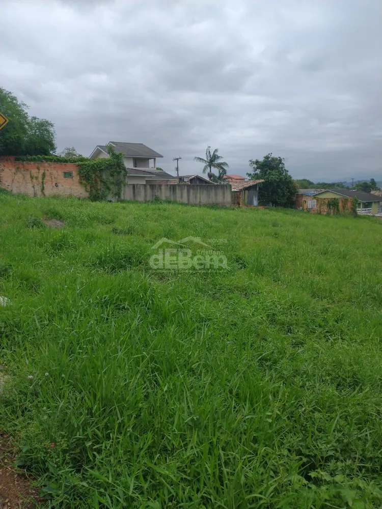 Terreno, 494 hectares - Foto 4