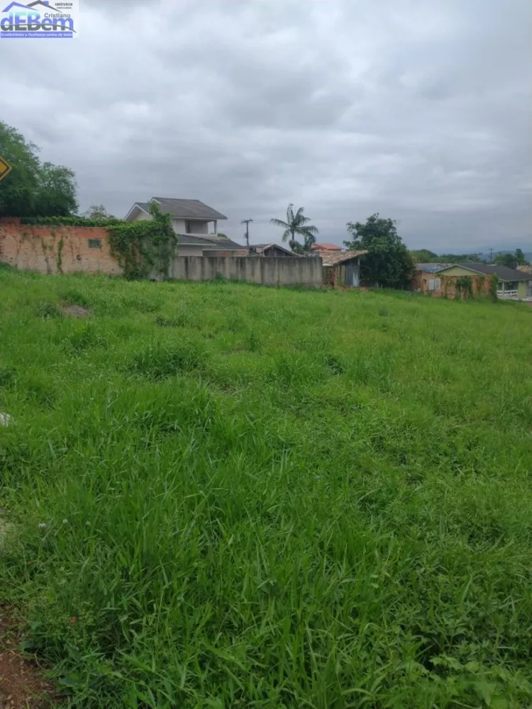 Terreno, 4936 m² - Foto 2