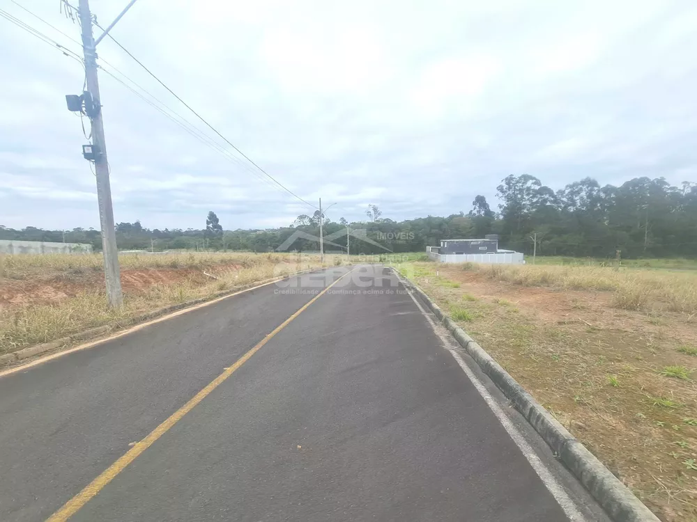 Terreno, 4 hectares - Foto 4