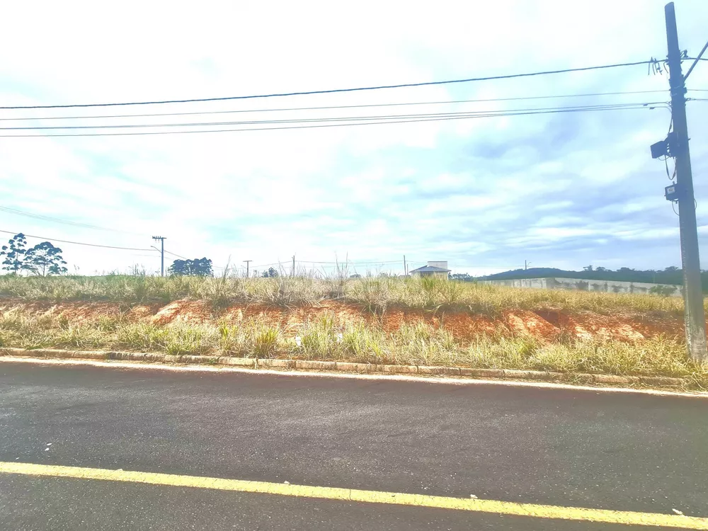 Terreno, 4 hectares - Foto 2