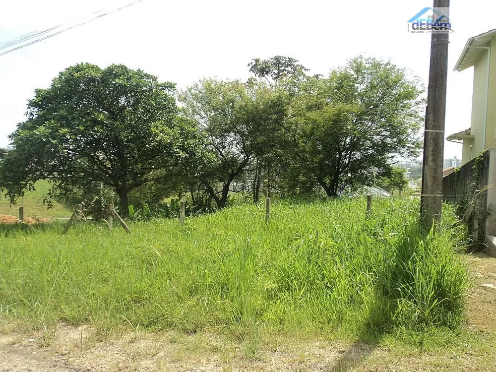 Terreno, 1167 m² - Foto 3