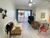 Apartamento, 3 quartos, 86 m² - Foto 3