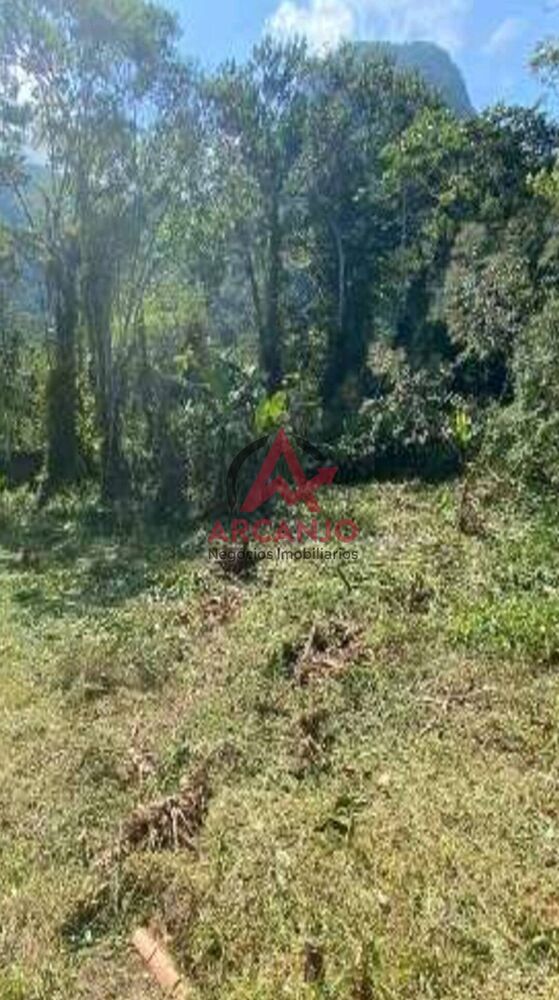 Terreno, 741 m² - Foto 3