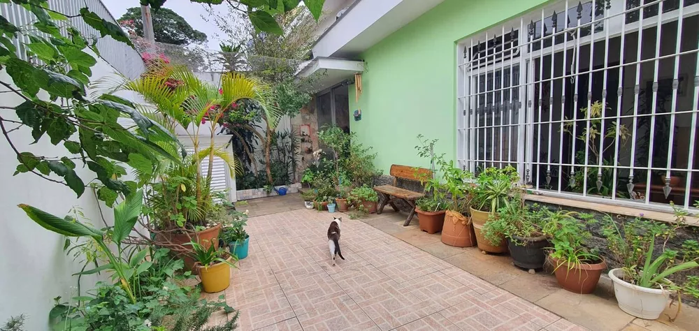 Casa, 4 quartos, 197 m² - Foto 14