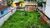 Terreno, 300 m² - Foto 3