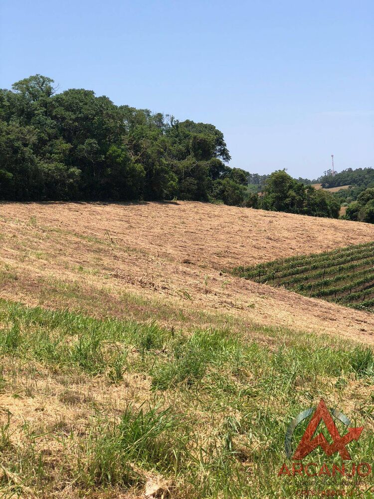 Terreno à venda, 40052m² - Foto 3