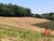 Terreno, 4 hectares - Foto 1