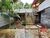 Casa, 3 quartos, 236 m² - Foto 4